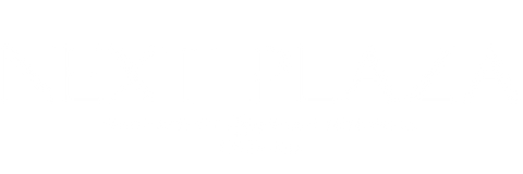 NEXT PLAZA LLC